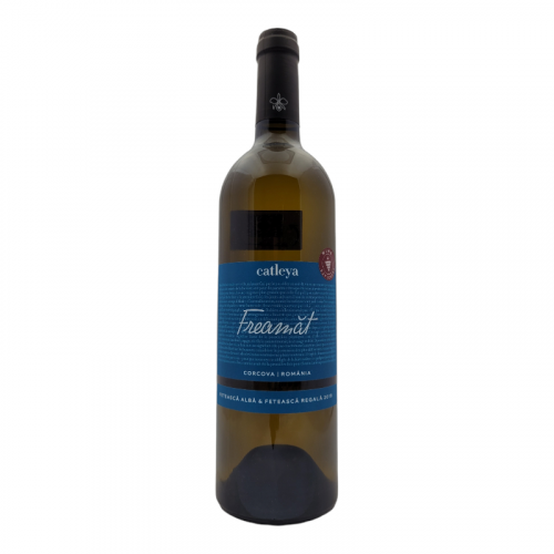 Catleya - Corcova "Freamăt" 2019