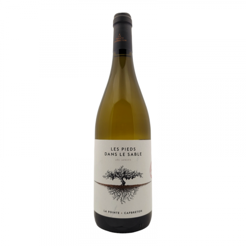 Domaine de la Pointe - IGP Landes "Les pieds dans le sable" Blanc 2024