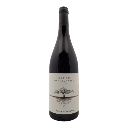 Domaine de la Pointe - IGP Landes "Les pieds dans le sable" Rouge 2023