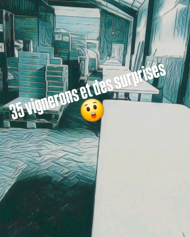 Publication 18058640816507800 Instagram