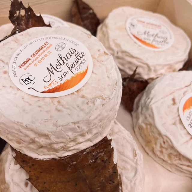 Sous sa feuille, un cœur fondant et plein de caractère 😍
Découvrez le Mothais sur feuille, trésor des Deux-Sèvres 🐐

@ferme_georgelet 

📍Vins de Vincent Hasparren 

#MothaisSurFeuille #FromageAddict #GoûtDuTerroir #FromageDeChèvre